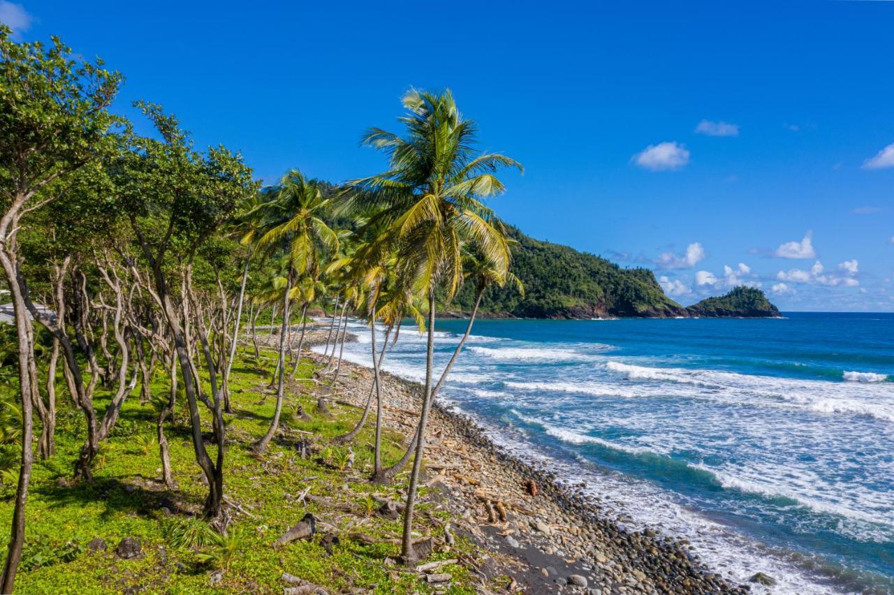 Rosalie Bay Eco Resort & Spa 外观 照片