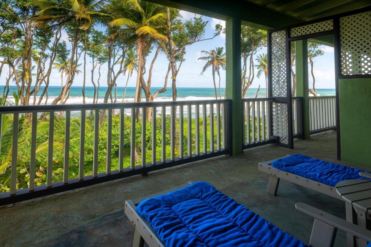 Rosalie Bay Eco Resort & Spa 外观 照片