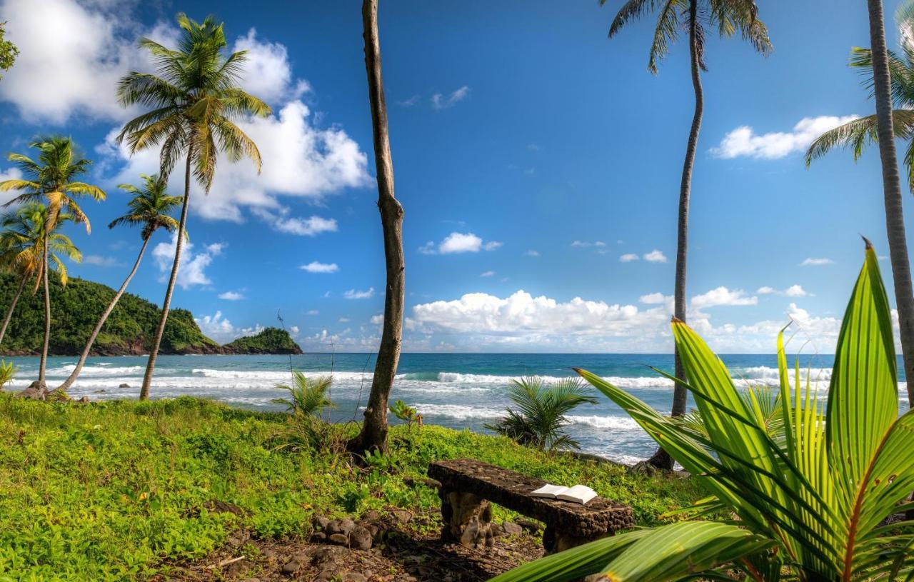 Rosalie Bay Eco Resort & Spa 外观 照片