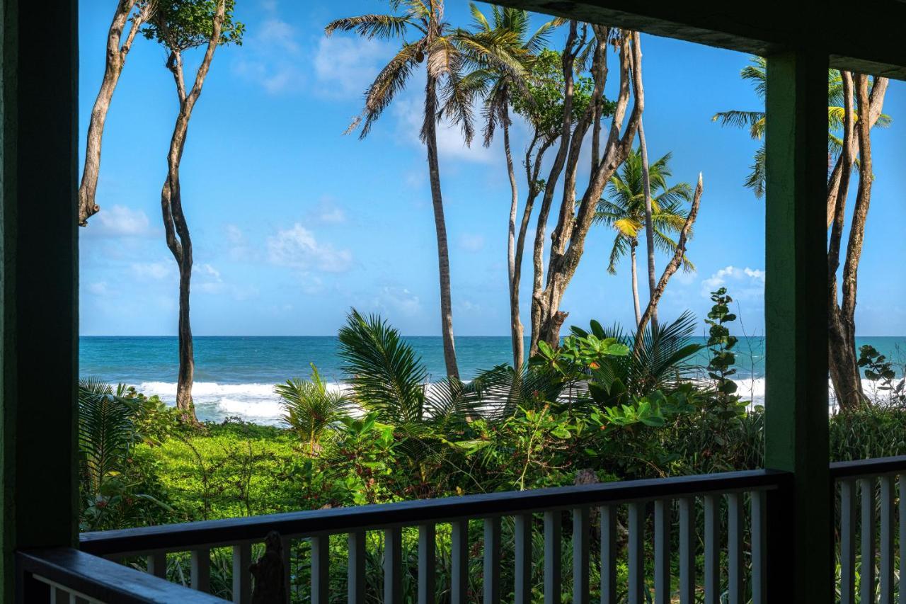 Rosalie Bay Eco Resort & Spa 外观 照片